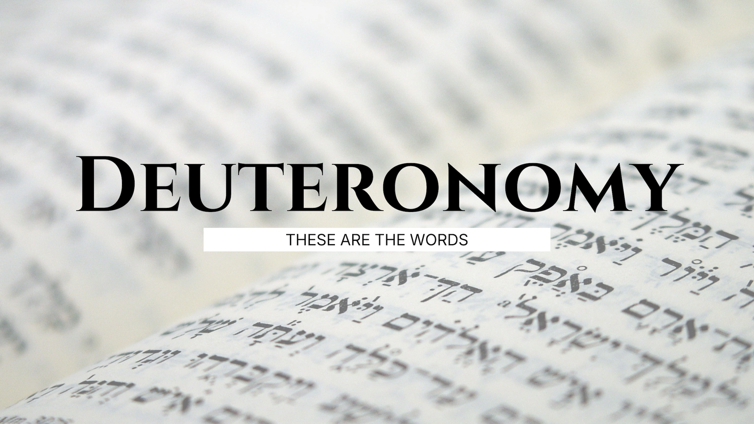 Deuteronomy series artwork