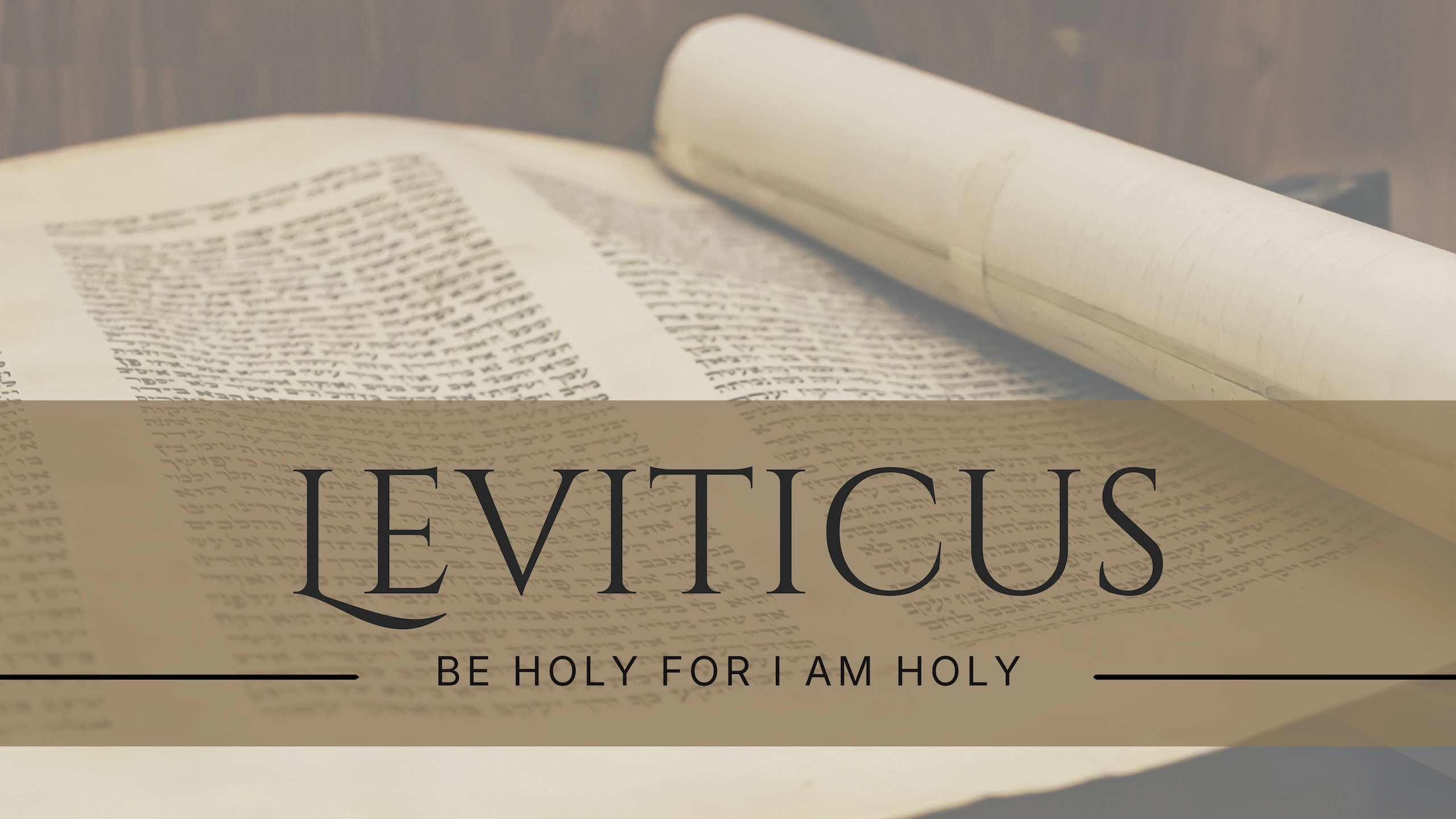 Leviticus series artwork